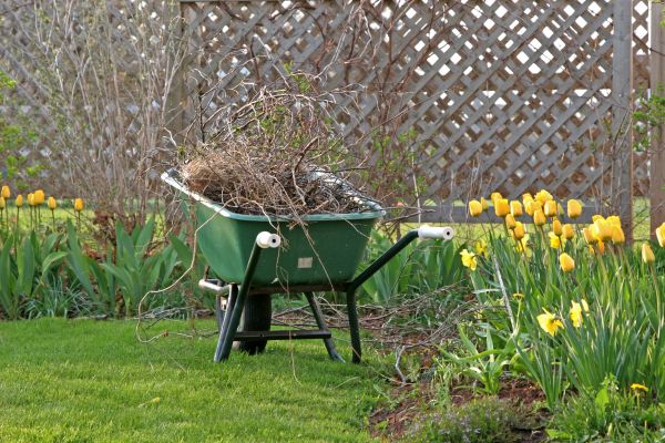 Flower Bed Cleanup Service in O Fallon