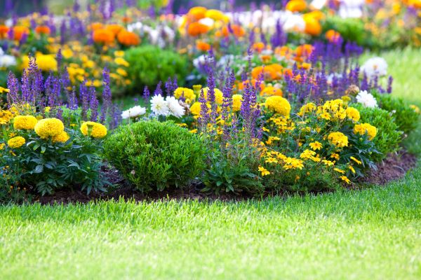 Flower Bed Maintenance in O Fallon