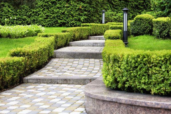 Backyard Remodeling in O Fallon