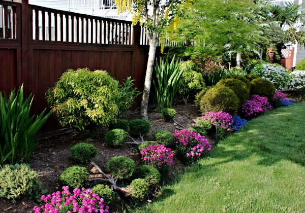 Garden Care Service in O Fallon