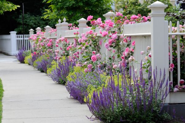 Garden Handyman Service in O Fallon