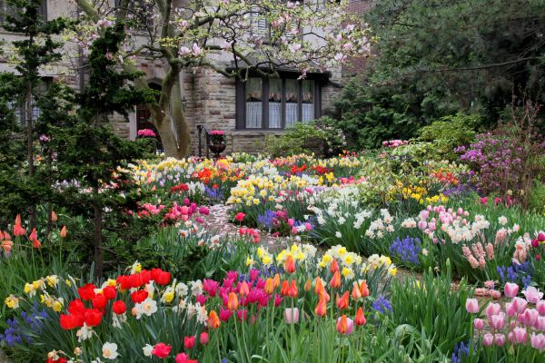 Garden Maintenance Service in O Fallon