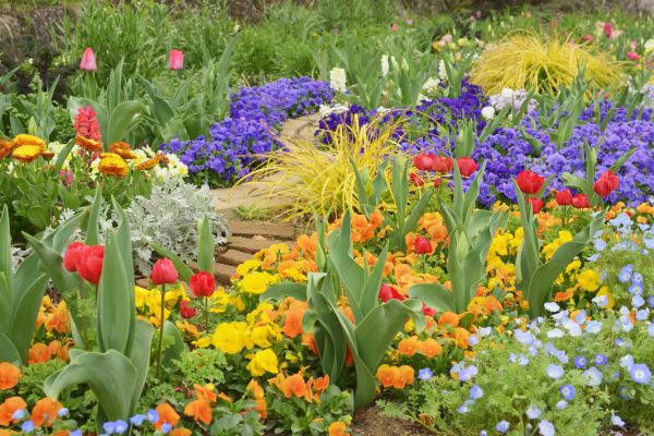 Garden Renovation in O Fallon