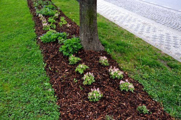 Mulch Replacement Service in O Fallon