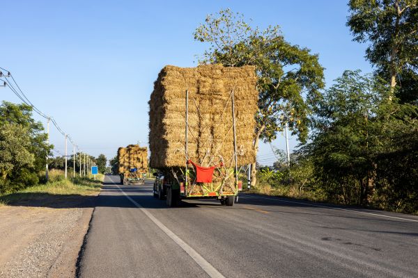 Pine Straw Delivery in O Fallon