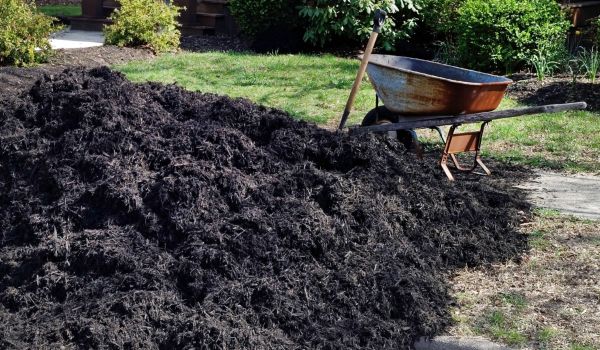 Black Mulch Delivery in O Fallon