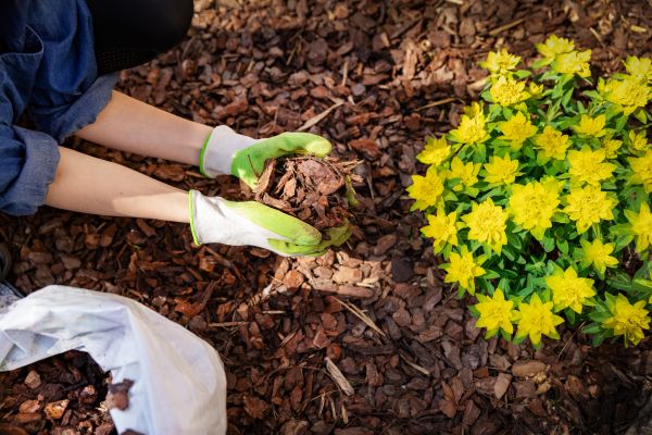 Garden Mulching in O Fallon