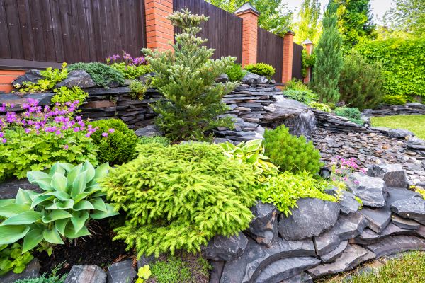 Landscape Remodeling in O Fallon