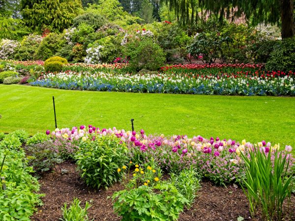Residential Landscape Design in O Fallon