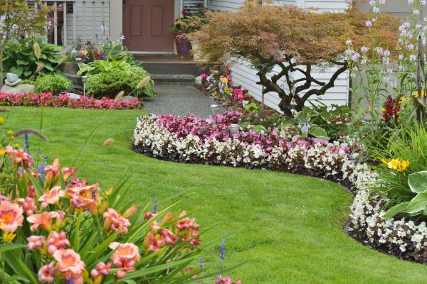 Perennial Landscaping in O Fallon