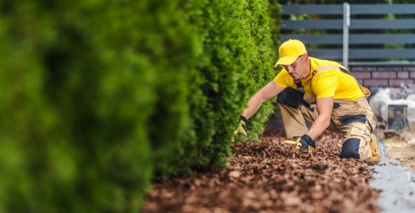 Cypress Mulch Installation in O Fallon