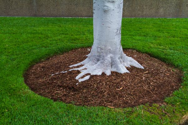 Brown Mulch Installation in O Fallon