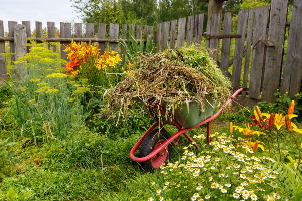 Garden Cleanup Service in O Fallon