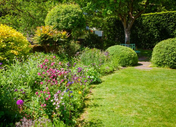 Yard Landscaping Service in O Fallon