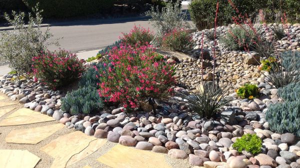 Xeriscape Landscaping in O Fallon