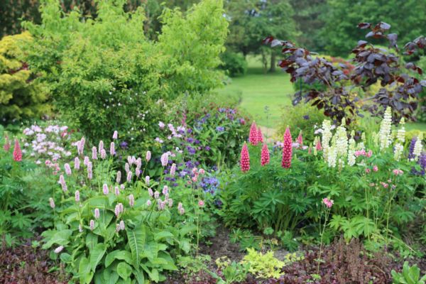 Flower Bed Planting in O Fallon