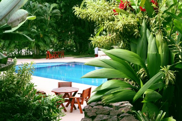 Tropical Garden Landscaping in O Fallon
