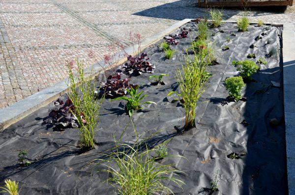 Landscape Fabric Installation in O Fallon
