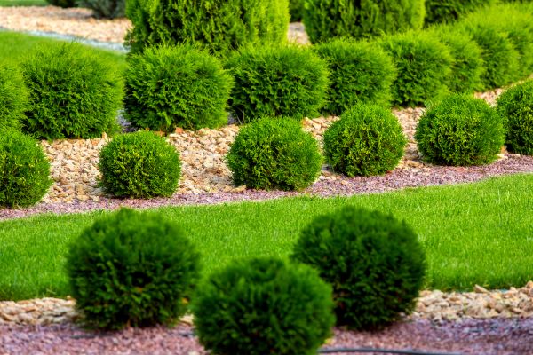 Bush Installation in O Fallon
