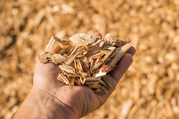 Wood Chips Spreading in O Fallon