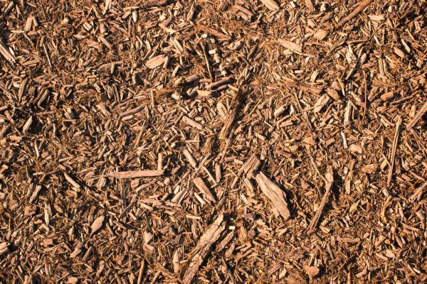 Wood Chips Removal in O Fallon
