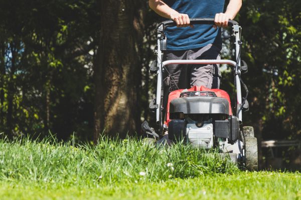 Garden Trimming Service in O Fallon