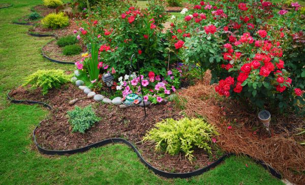 Floral Landscaping in O Fallon