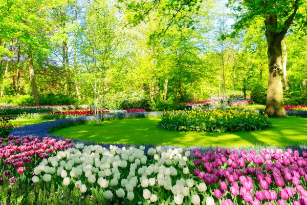 Flower Landscaping in O Fallon