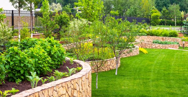 Yard Makeover Service in O Fallon