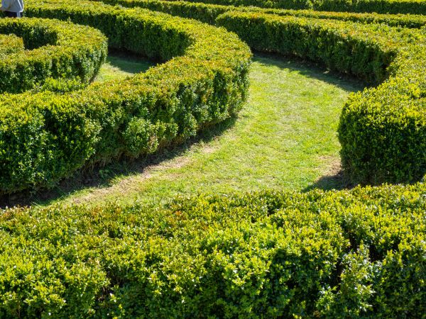 Bush Landscaping in O Fallon