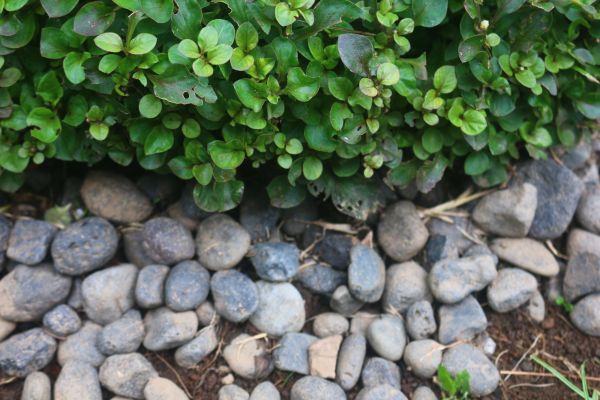River Stone Installation in O Fallon