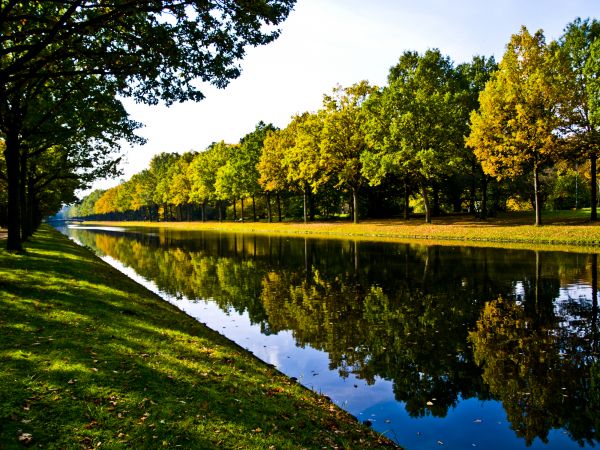 Bank Landscaping in O Fallon