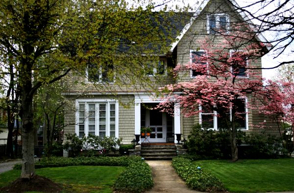 Ornamental Tree Planting in O Fallon