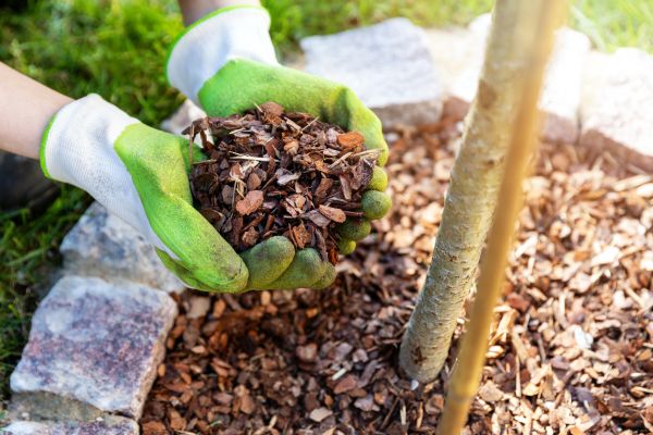 Tree Bark Delivery in O Fallon