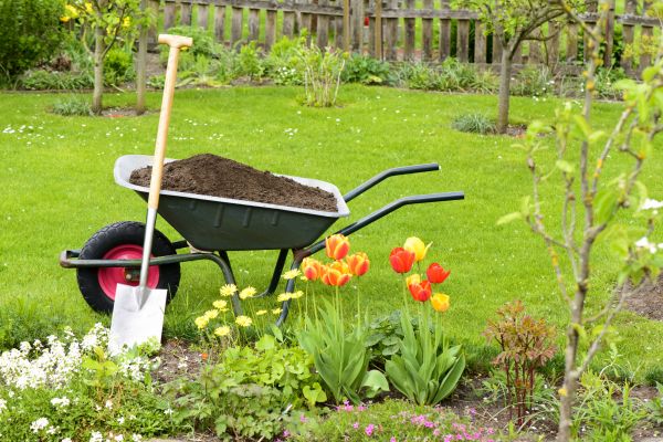 Spring Yard Renovation in O Fallon