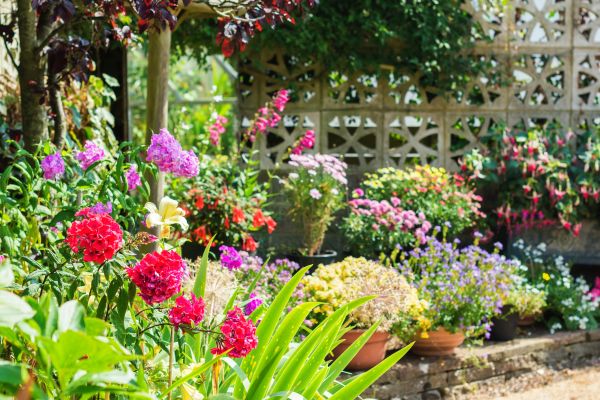 Spring Garden Maintenance in O Fallon