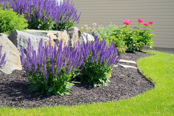 Landscape Planting Service in O Fallon