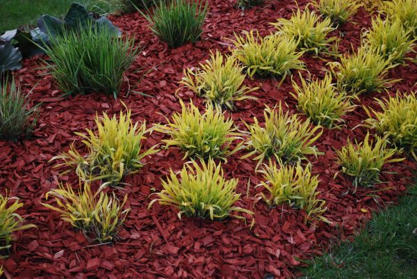 Red Mulch Installation in O Fallon
