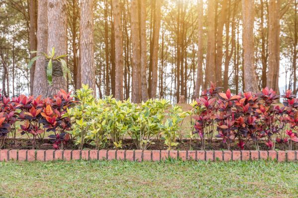 Small Garden Landscaping in O Fallon
