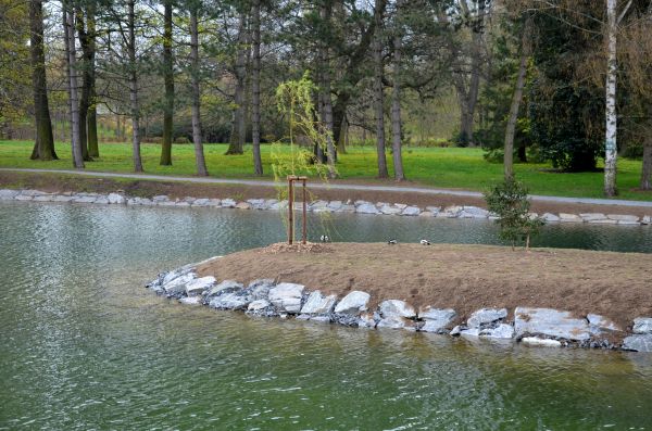 Pond Landscaping Service in O Fallon