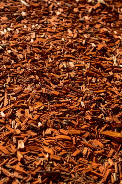 Cedar Mulch Spreading in O Fallon
