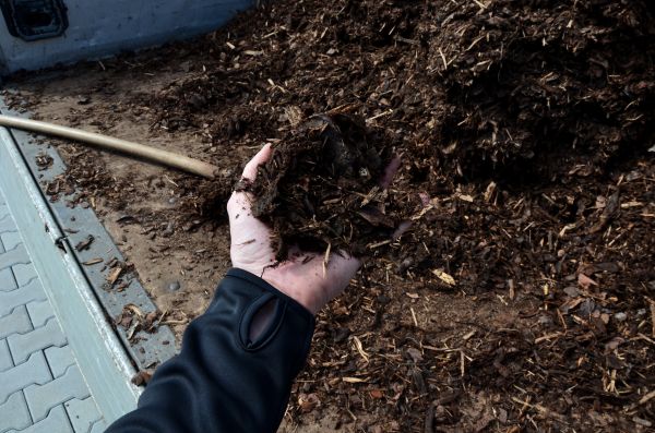 Condo Mulching in O Fallon