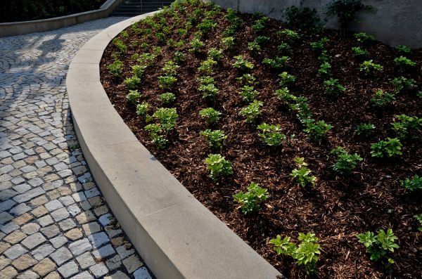 Commercial Mulching in O Fallon