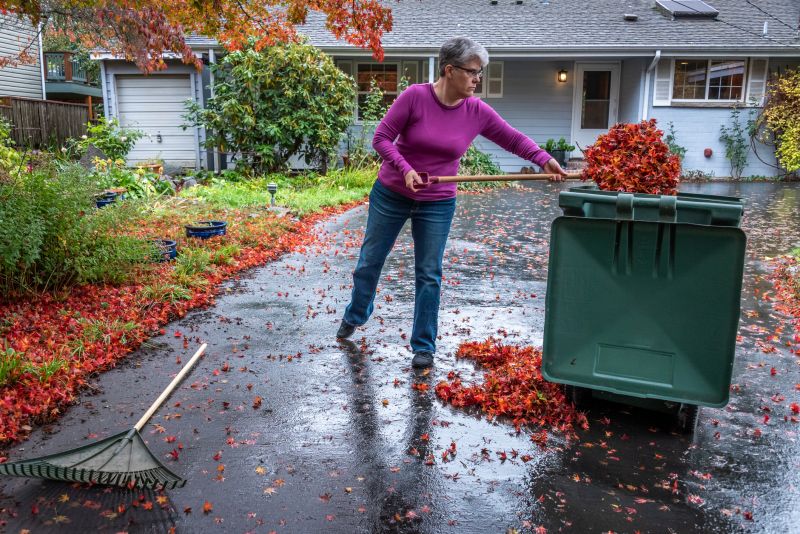 Composting Leaves